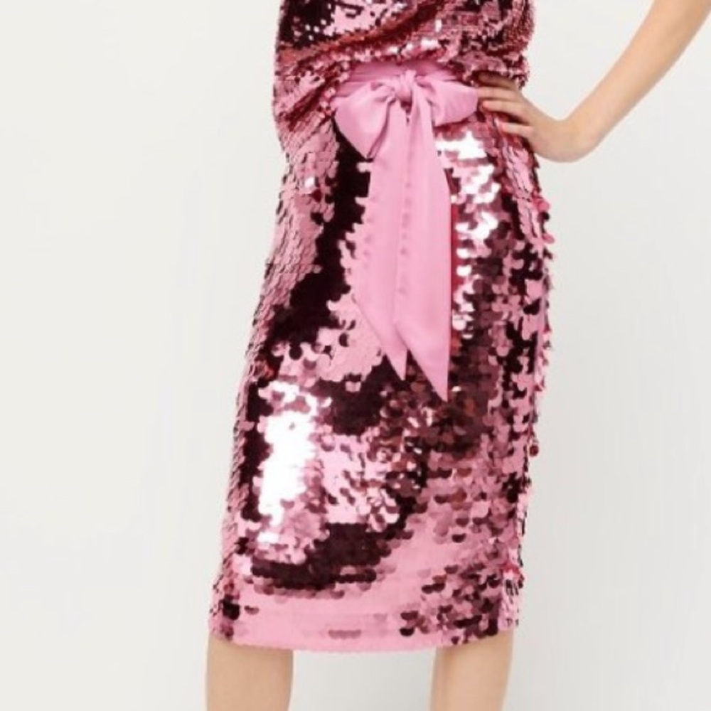 J Crew Pink Sequin Women's Skirt
SOME MISSING SEQUINS - Picture 3 of 11
